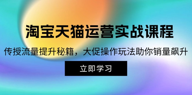 （12959期）淘宝&天猫运营实战课程，传授流量提升秘籍，大促操作玩法助你销量飙升-云帆学社