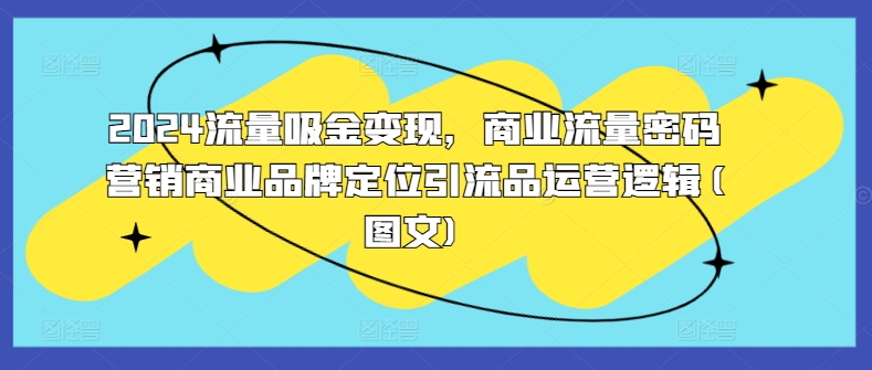 2024流量吸金变现，商业流量密码营销商业品牌定位引流品运营逻辑(图文)-云帆学社