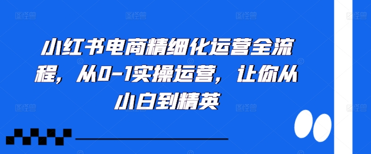 小红书电商精细化运营全流程，从0-1实操运营，让你从小白到精英-云帆学社