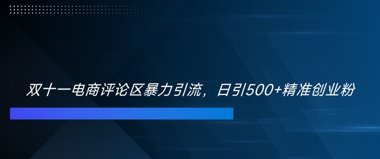 双十一电商评论区暴力引流，日引500+精准创业粉-云帆学社