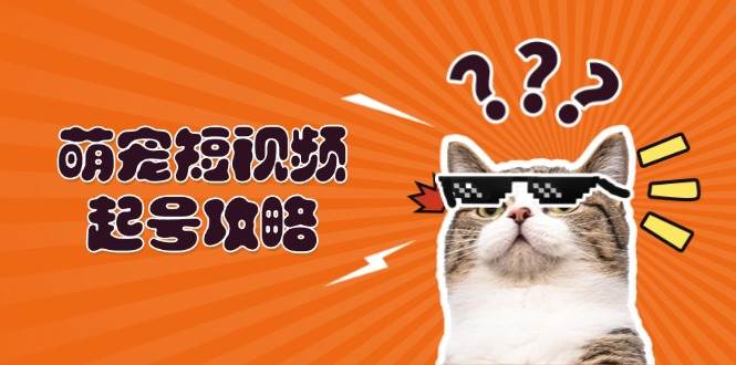 萌宠短视频起号攻略：定位搭建推流全解析，助力新手轻松打造爆款-云帆学社