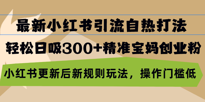 （13145期）最新小红书引流自热打法，轻松日吸300+精准宝妈创业粉，小红书更新后新…-云帆学社