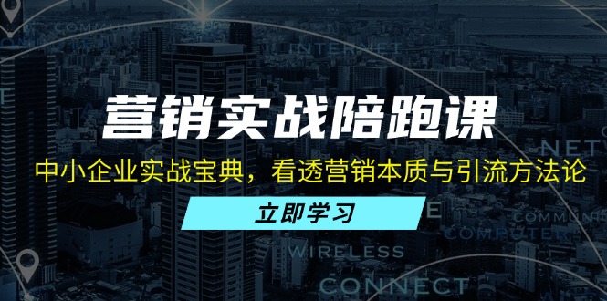 （13146期）营销实战陪跑课：中小企业实战宝典，看透营销本质与引流方法论-云帆学社