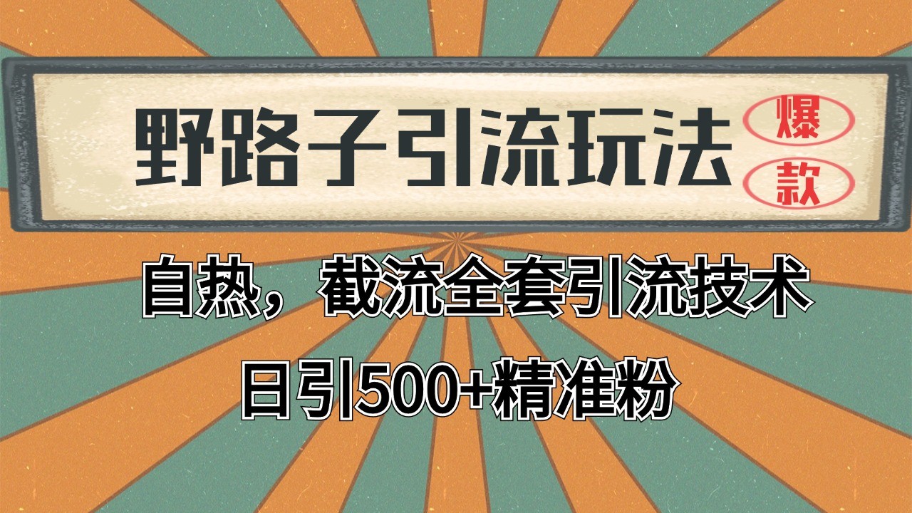 抖音小红书视频号全平台引流打法，全自动引流日引2000+精准客户-云帆学社