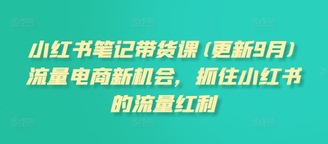 小红书笔记带货课(更新10月)流量电商新机会，抓住小红书的流量红利-云帆学社