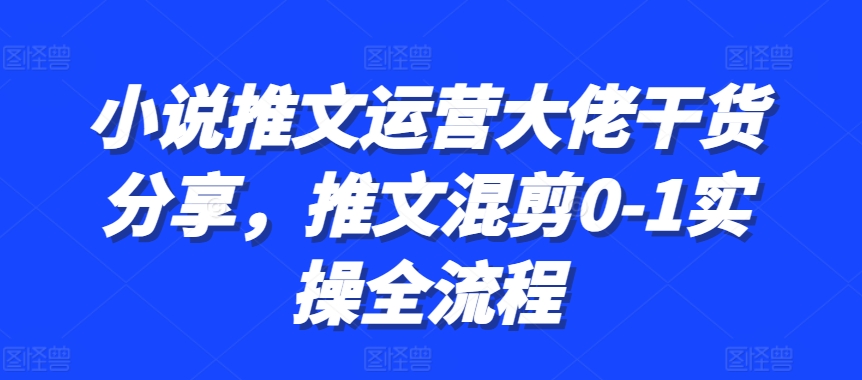 小说推文运营大佬干货分享，推文混剪0-1实操全流程-云帆学社