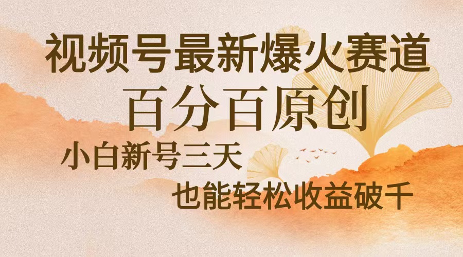 （13225期）视频号最新爆火赛道，中老年粉深信不疑，百分百原创，新号三天收益轻松…-云帆学社