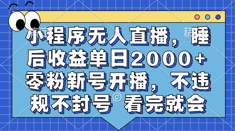 （13251期）小程序无人直播，睡后收益单日2000+ 零粉新号开播，不违规不封号 看完就会-云帆学社