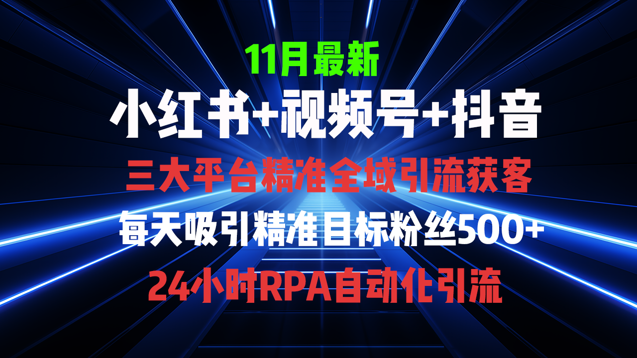 （13259期）全域多平台引流私域打法，小红书，视频号，抖音全自动获客，截流自…-云帆学社