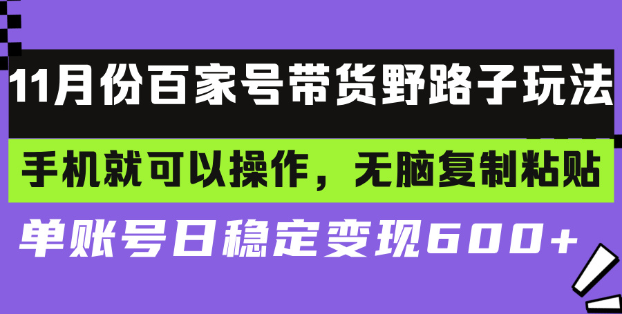 （13281期）百家号带货野路子玩法 手机就可以操作，无脑复制粘贴 单账号日稳定变现…-云帆学社