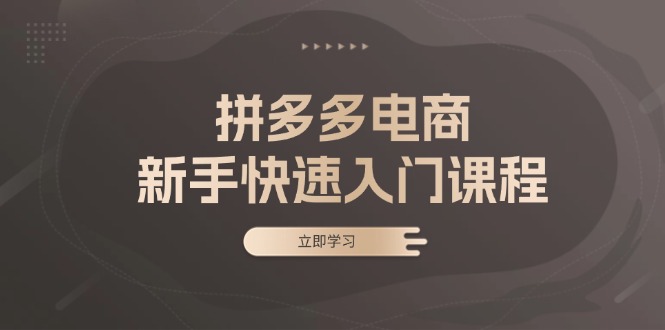 （13289期）拼多多电商新手快速入门课程：涵盖基础、实战与选款，助力小白轻松上手-云帆学社