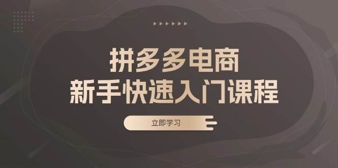 拼多多电商新手快速入门课程：涵盖基础、实战与选款，助力小白轻松上手-云帆学社