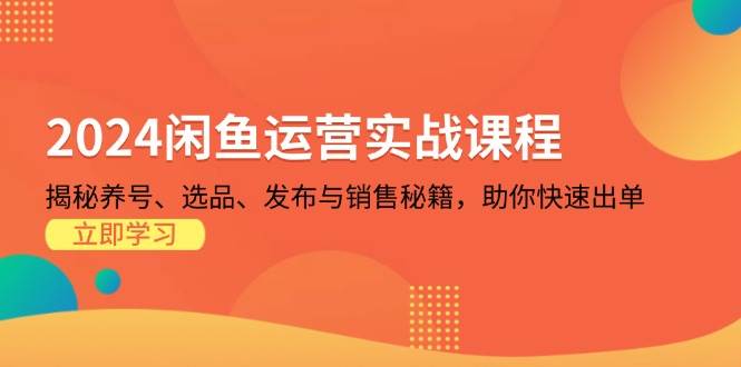 2024闲鱼运营实战课程：揭秘养号、选品、发布与销售秘籍，助你快速出单-云帆学社