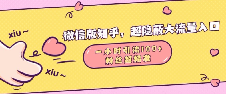 微信版知乎，超隐蔽流量入口1小时引流100人，粉丝质量超高-云帆学社