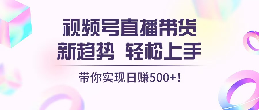 （13370期）视频号直播带货新趋势，轻松上手，带你实现日赚500+-云帆学社