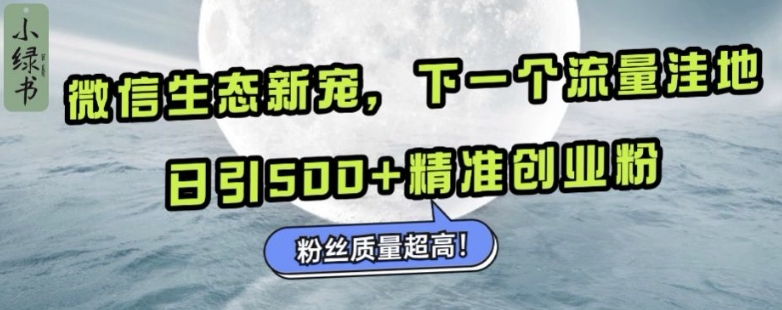 微信生态新宠小绿书：下一个流量洼地，日引500+精准创业粉，粉丝质量超高-云帆学社