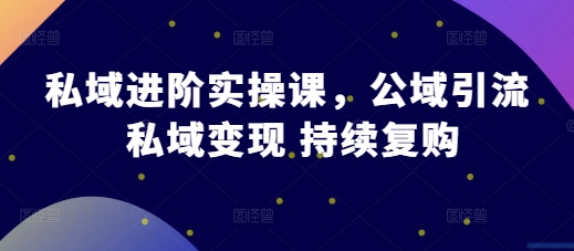 私域进阶实操课，公域引流 私域变现 持续复购-云帆学社