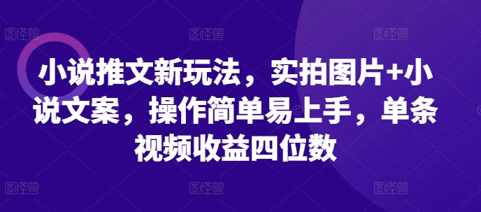 小说推文新玩法，实拍图片+小说文案，操作简单易上手，单条视频收益四位数-云帆学社