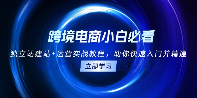 （13503期）跨境电商小白必看！独立站建站+运营实战教程，助你快速入门并精通-云帆学社