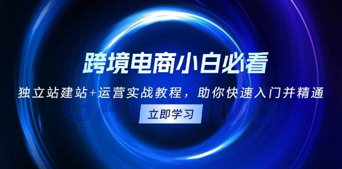 跨境电商小白必看！独立站建站+运营实战教程，助你快速入门并精通-云帆学社