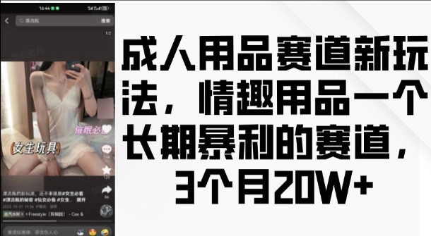 成人用品赛道新玩法，情趣用品一个长期暴利的赛道，3个月收益20个-云帆学社