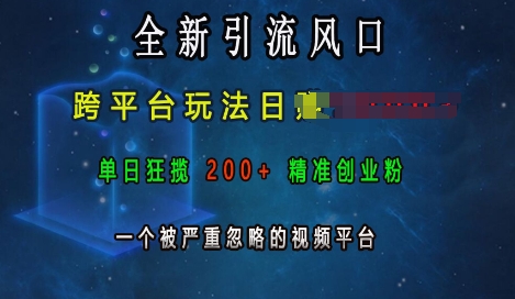 全新引流风口，跨平台玩法日入上k，单日狂揽200+精准创业粉，一个被严重忽略的视频平台-云帆学社