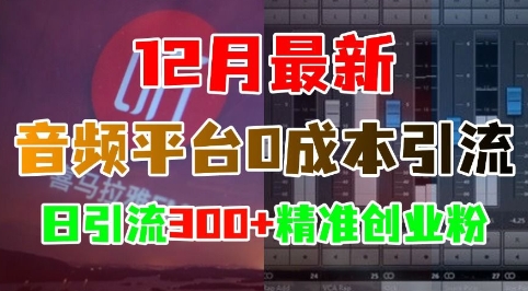 12月最新：音频平台0成本引流，日引流300+精准创业粉-云帆学社