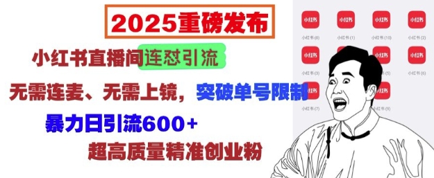 2025重磅发布：小红书直播间连怼引流，无需连麦、无需上镜，突破单号限制，暴力日引流600+-云帆学社